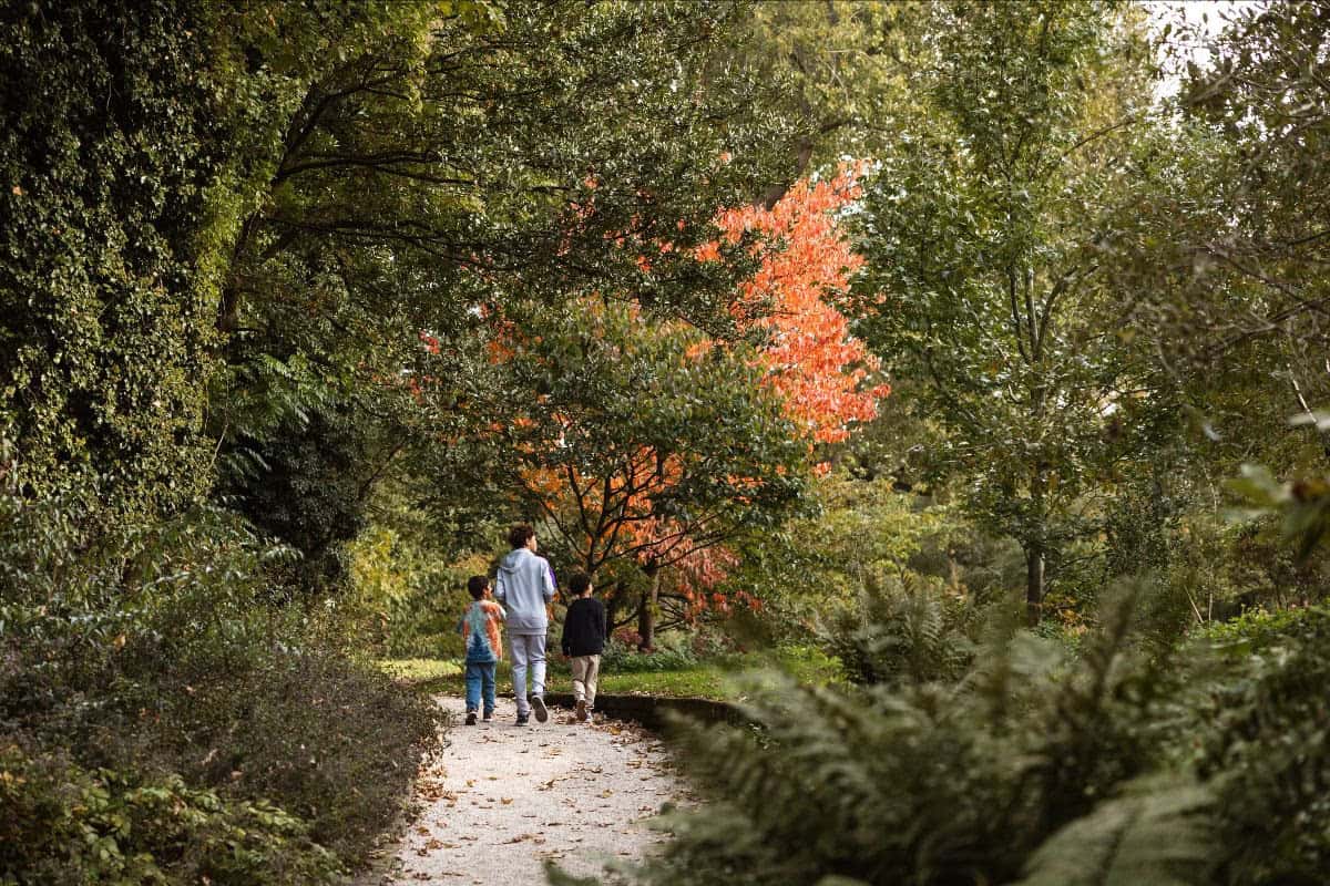 Trompenburg fills October with films, yoga and fungi Trompenburg Rotterdam welcomes autumn with wildlife films, Kundalini yoga and a mushroom walk, including a packed programme on 21 October.