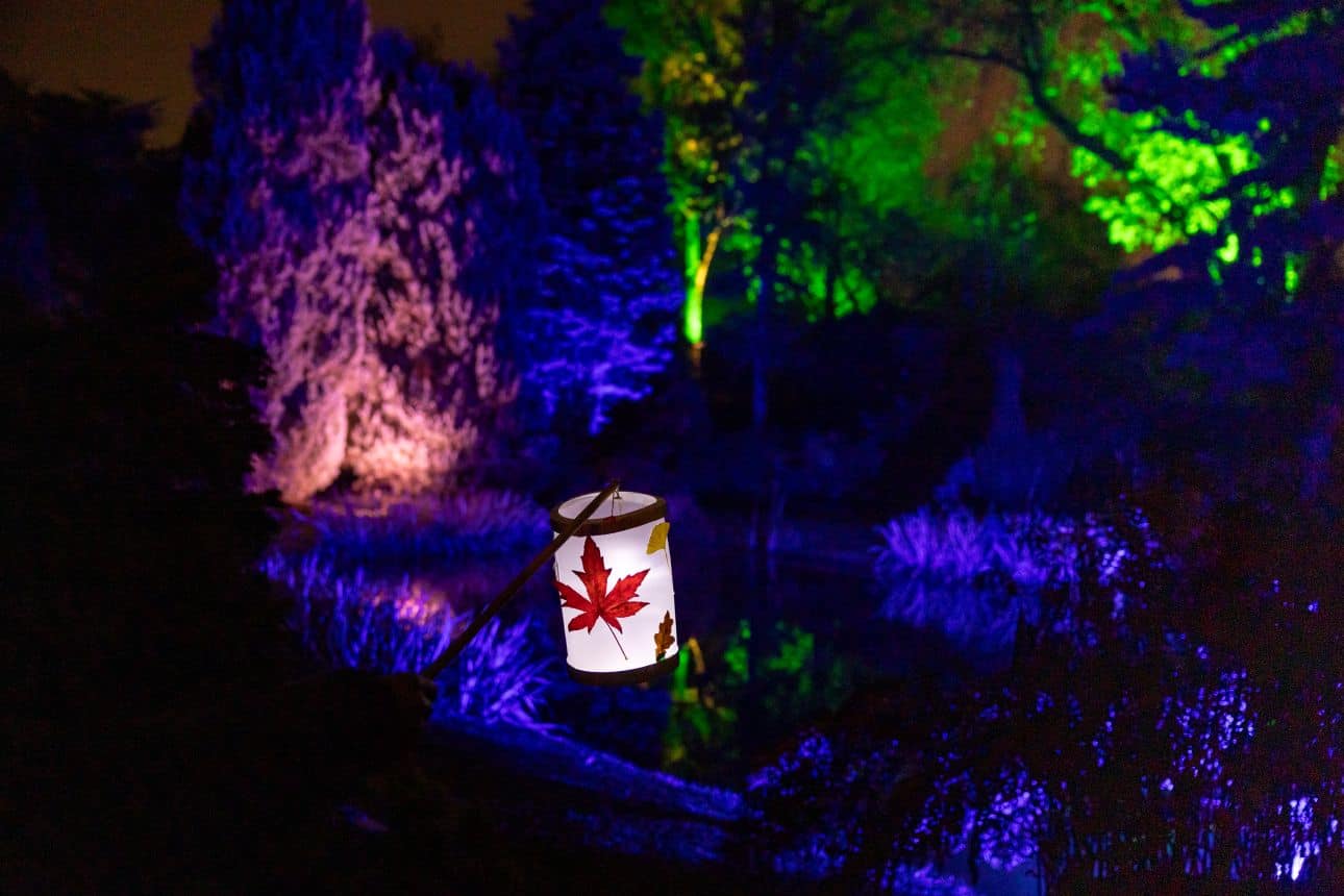 Trompenburg by Night 2026: illuminated gardens and light art in Rotterdam Experience Trompenburg by Night. Wander through illuminated gardens, enjoy light art, Sip & Paint, lanterns and forest bathing in Rotterdam.